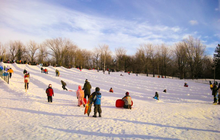 luge mont royal