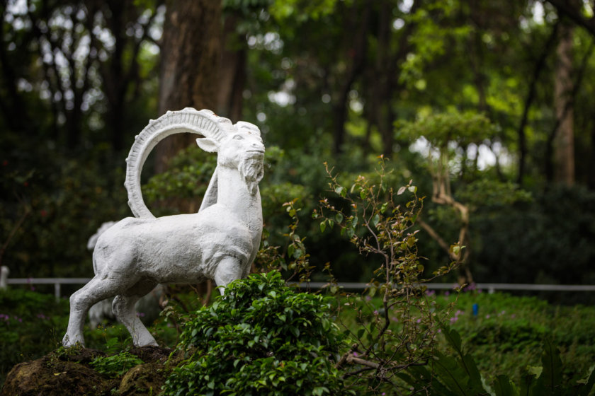 Yuexiu Mountain Park