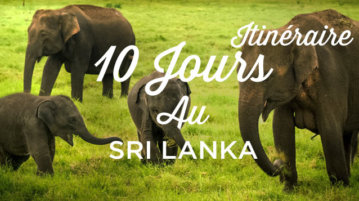 10 jours au sri lanka