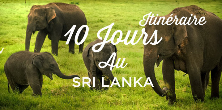 10 jours au sri lanka