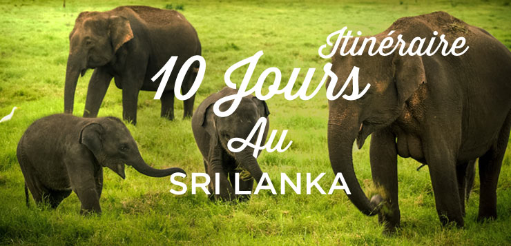 Sri Lanka site de rencontre USA