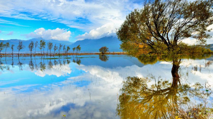 Lac Laishi Lijiang