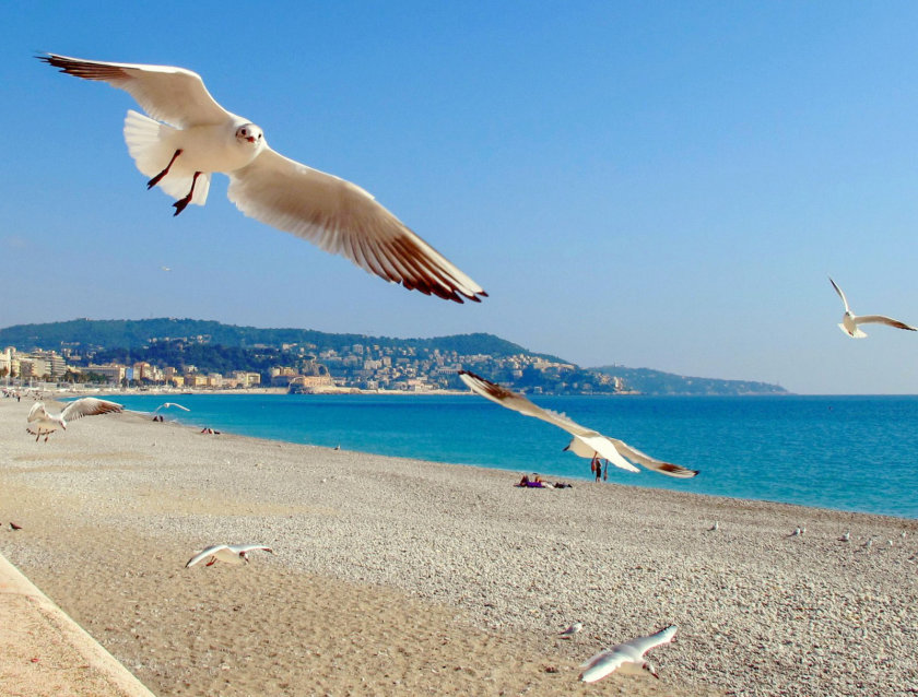 Plage de Nice