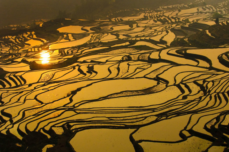 Rizières en terrasse de Yuanyang