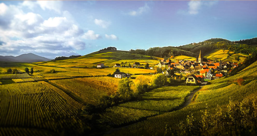 strada dei vini dell'Alsazia