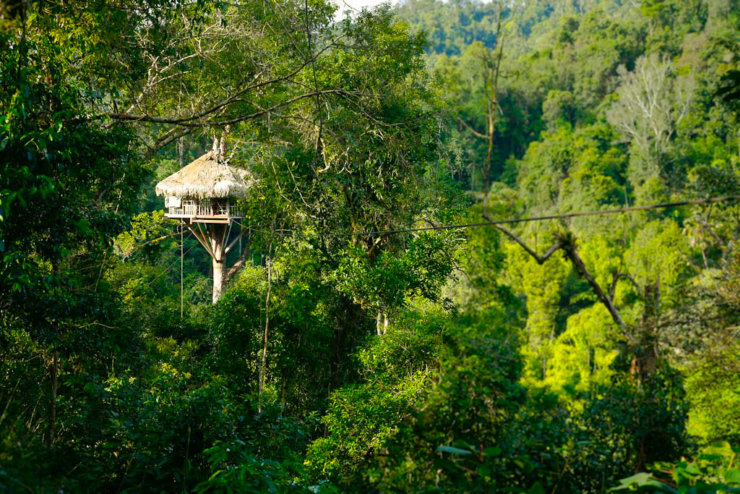 visiter-bokeo-laos