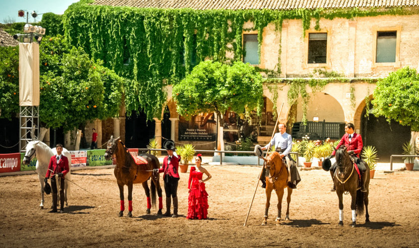 Caballerizas Reales Córdoba