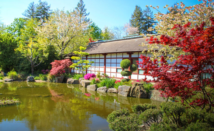 The Japanese garden on Versailles island