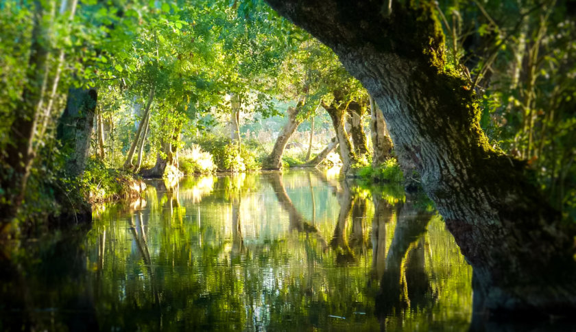 Le marais Poitevin