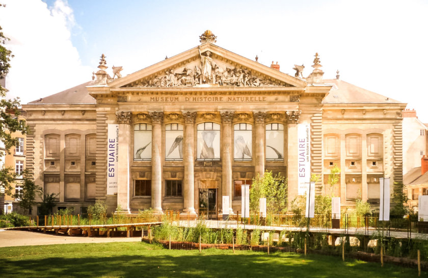 musée d'histoire naturelle de Nantes