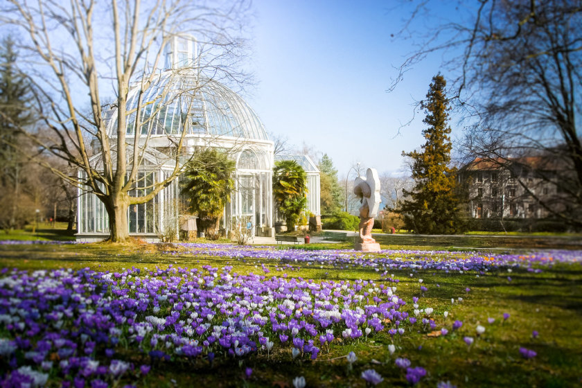 Die Treibhäuser des botanischen Gartens von Genf