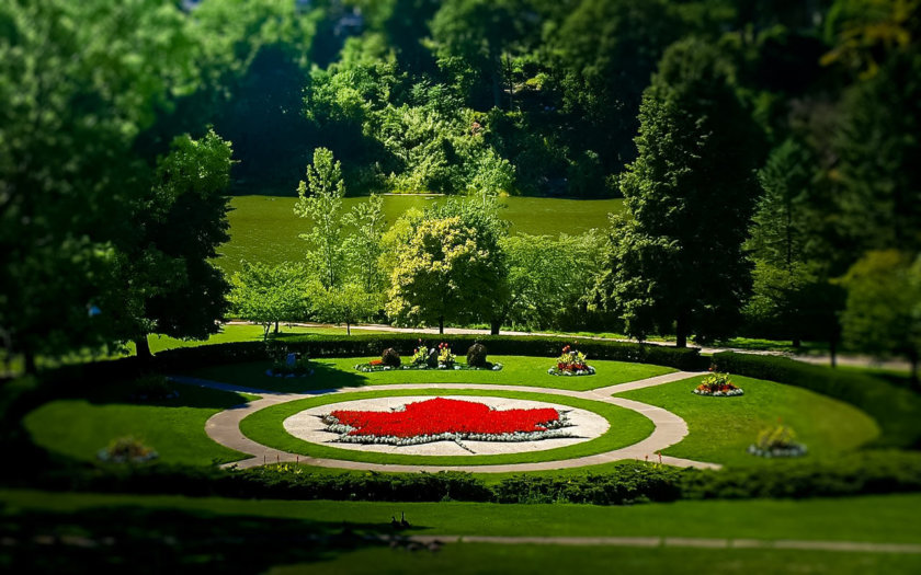 High Park