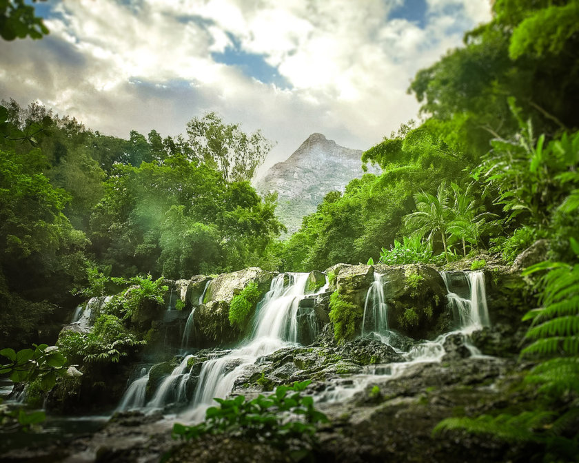 Black River Gorges National Park