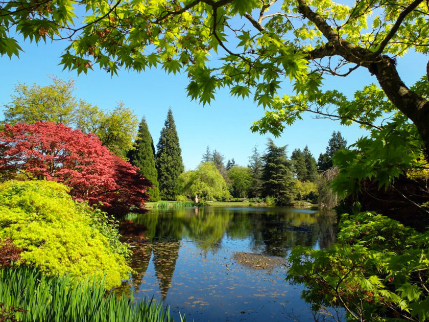 Jardin Botanique Vancouver