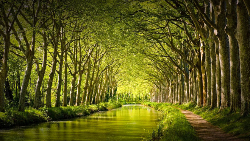 Canal Du Midi Toulouse