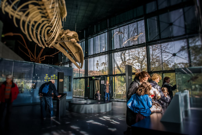 Museum de Toulouse