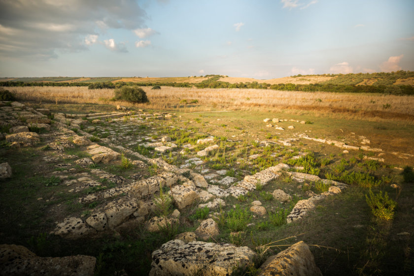 Temple M Selinonte