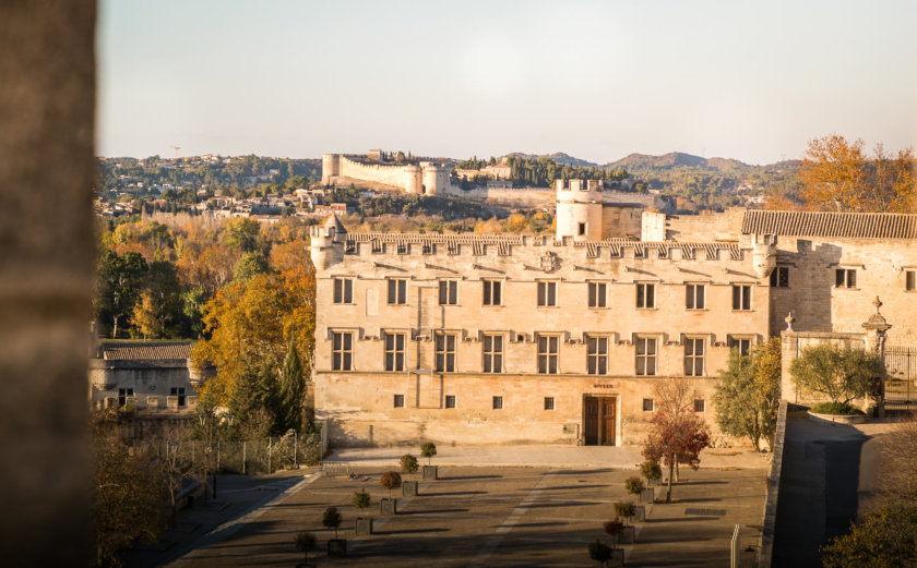 musee du petit palais Avignon