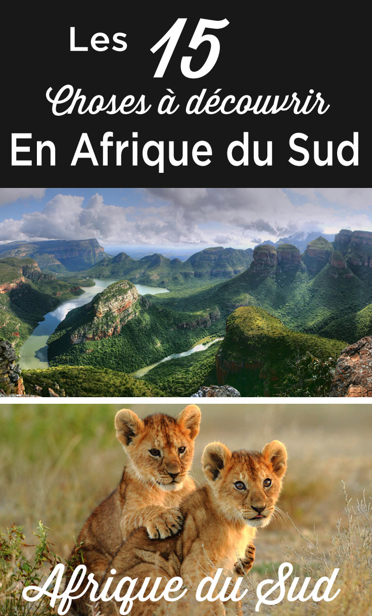 Visiter l'Afrique du Sud