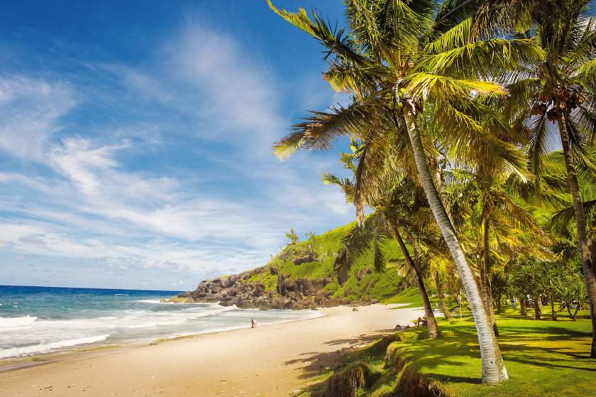 plage de grande anse la réunion