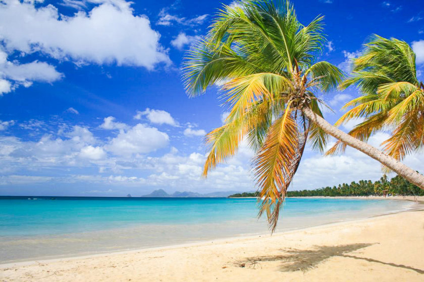 Plage des salines martinique