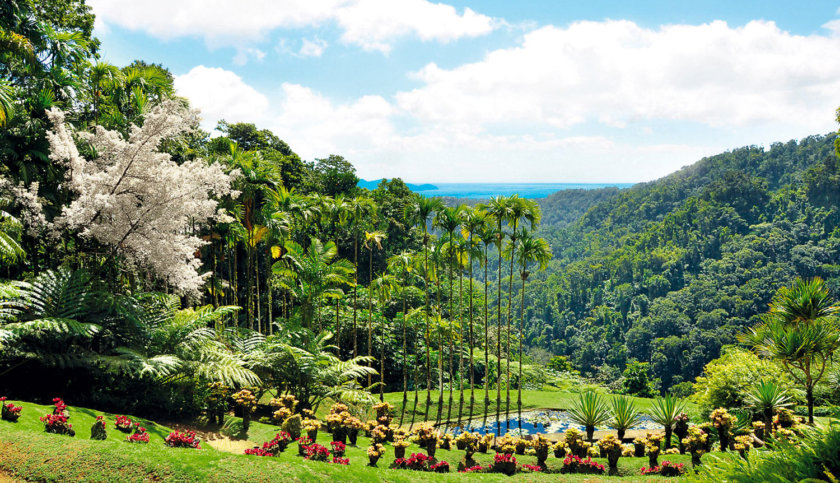 jardin de balata