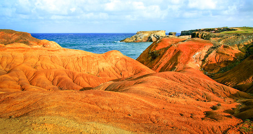 sainte anne savane des petrifications