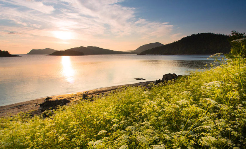 Parc national du Bic