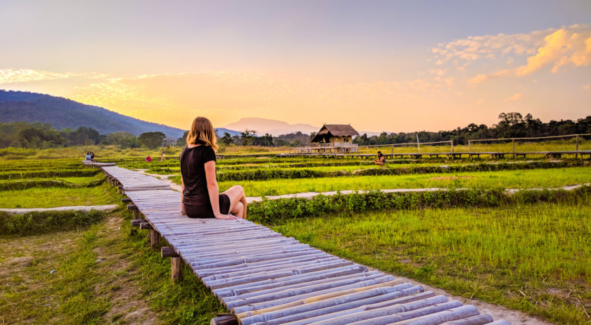 Chiang Mai Rice fields