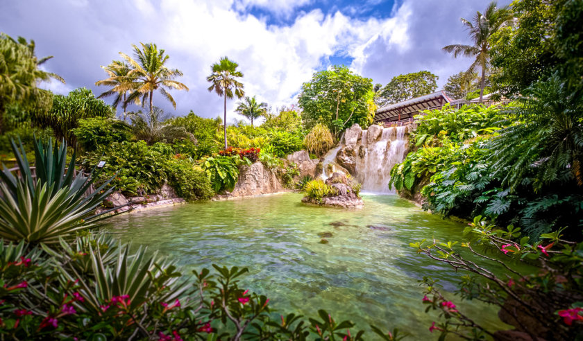 Jardin botanique de Deshaies