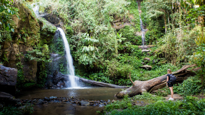 Doi Suthep National Park Thailand