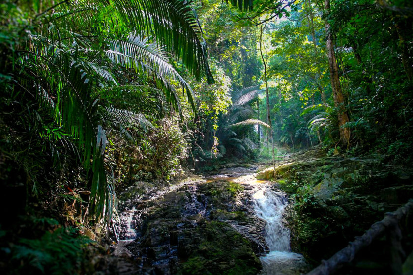 Parc national Khao Phanom Bencha