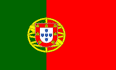 Pt_flag