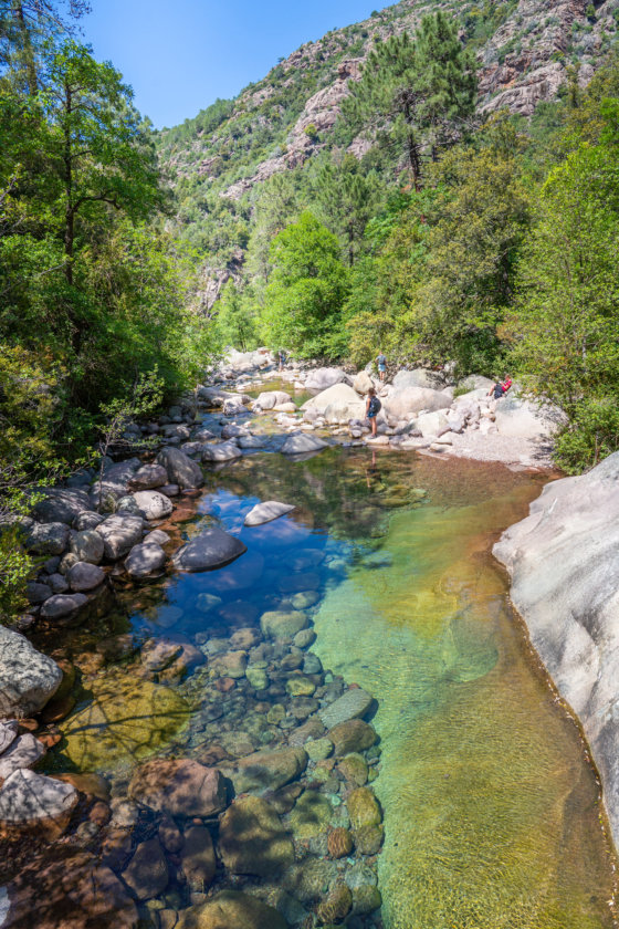 foresta di Bonifatu