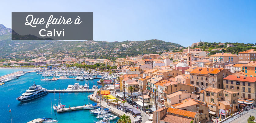 que faire a Calvi