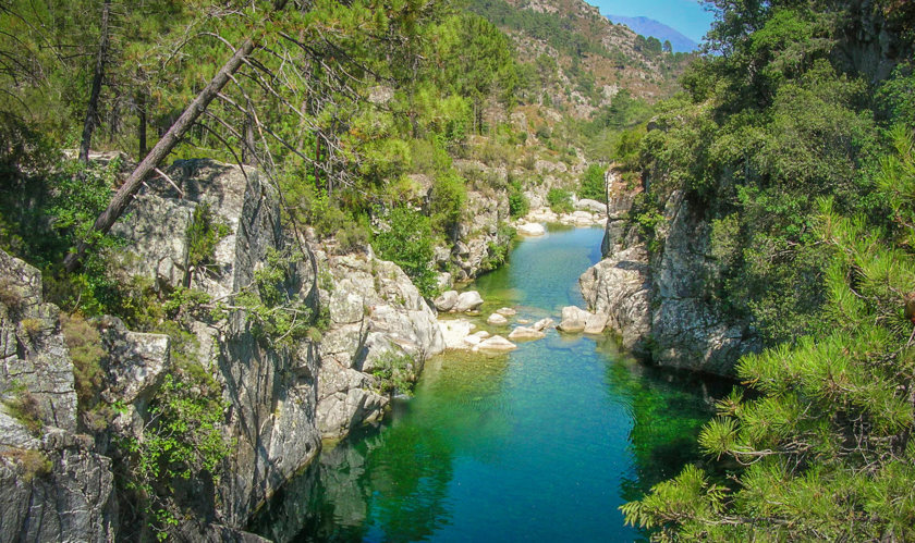 vallée du Tavignano