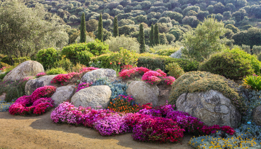 Jardín Botánico del Parque de Saleccia