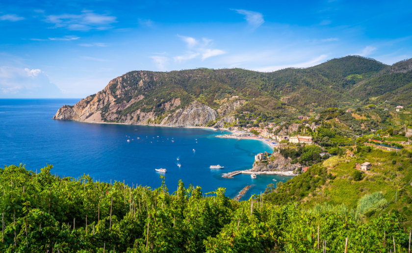 Les vignobles des Cinque Terre