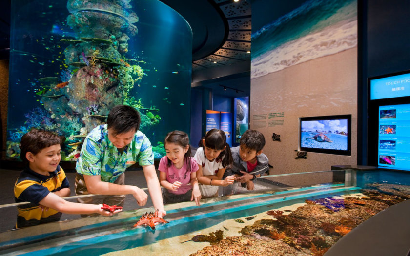 Aquarium Singapour