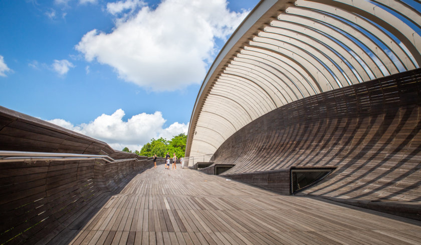 Henderson Waves Bridge