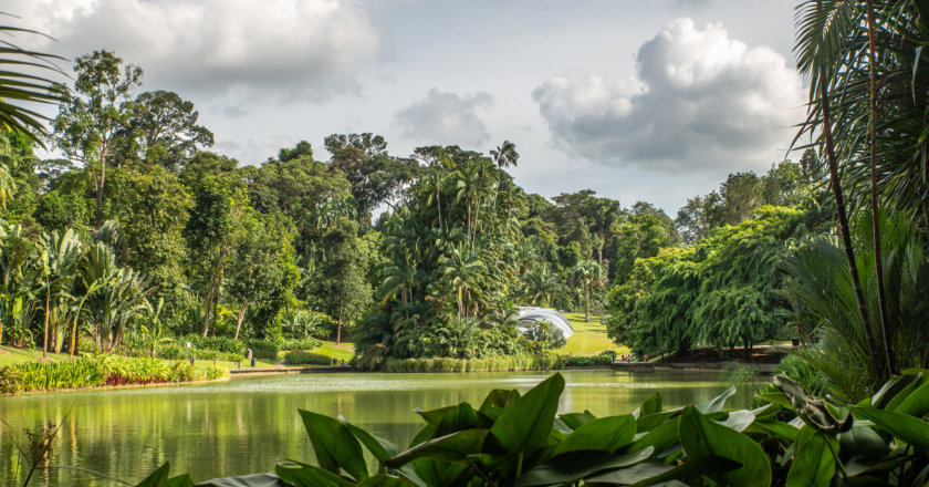 Jardin botanique de Singapour