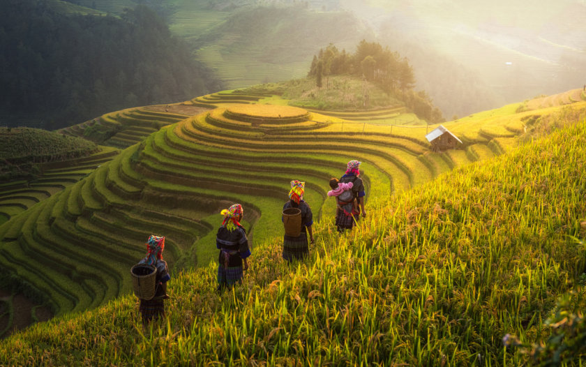 Rizières en terrasse Mu Cang Chai Vietnam