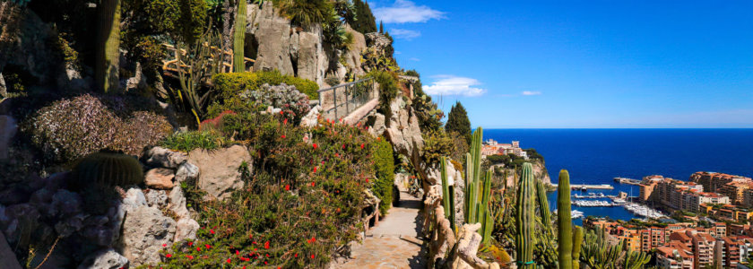 Jardin exotique Monaco