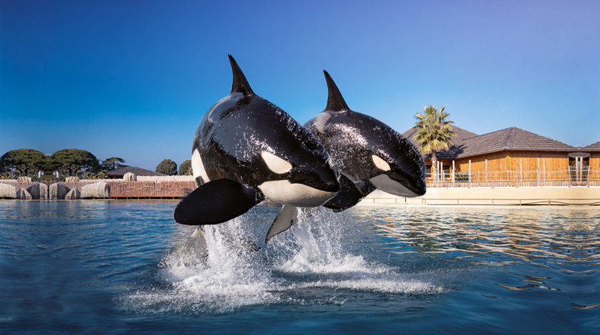 Marineland Antibes