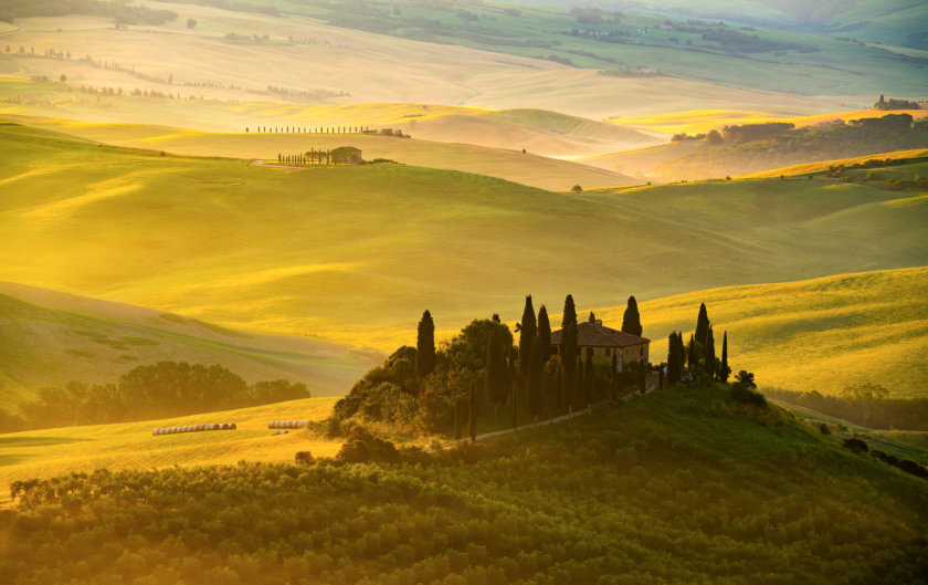 Vignobles Toscane