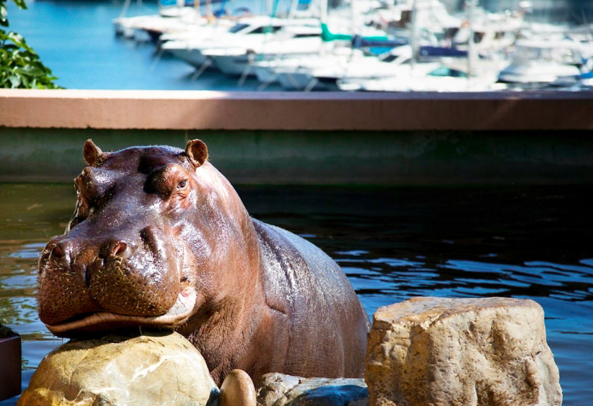 jardin animalier de Monaco