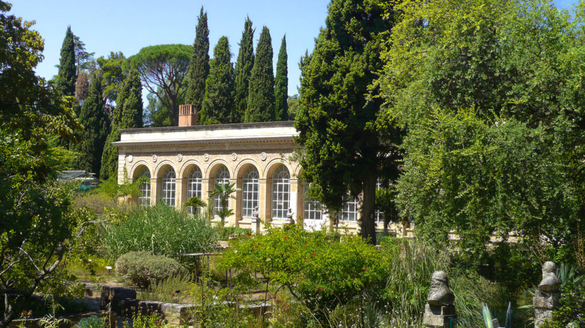 Jardin des plantes de Montpellier