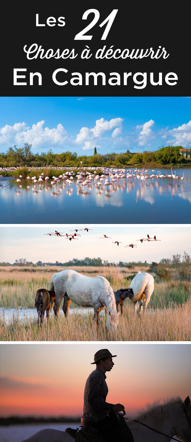 camargue tourisme