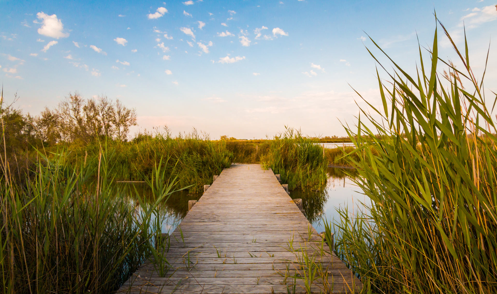 camargue tourisme