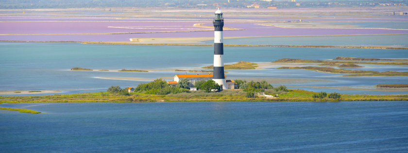 salin de giraud